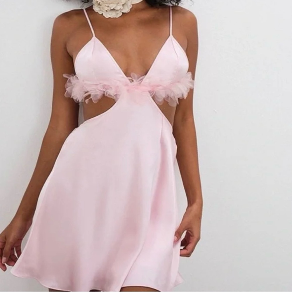 For Love and Lemons Pink Slip Dress